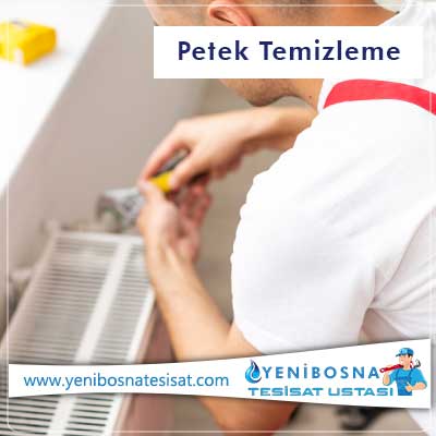 Petek Temizleme